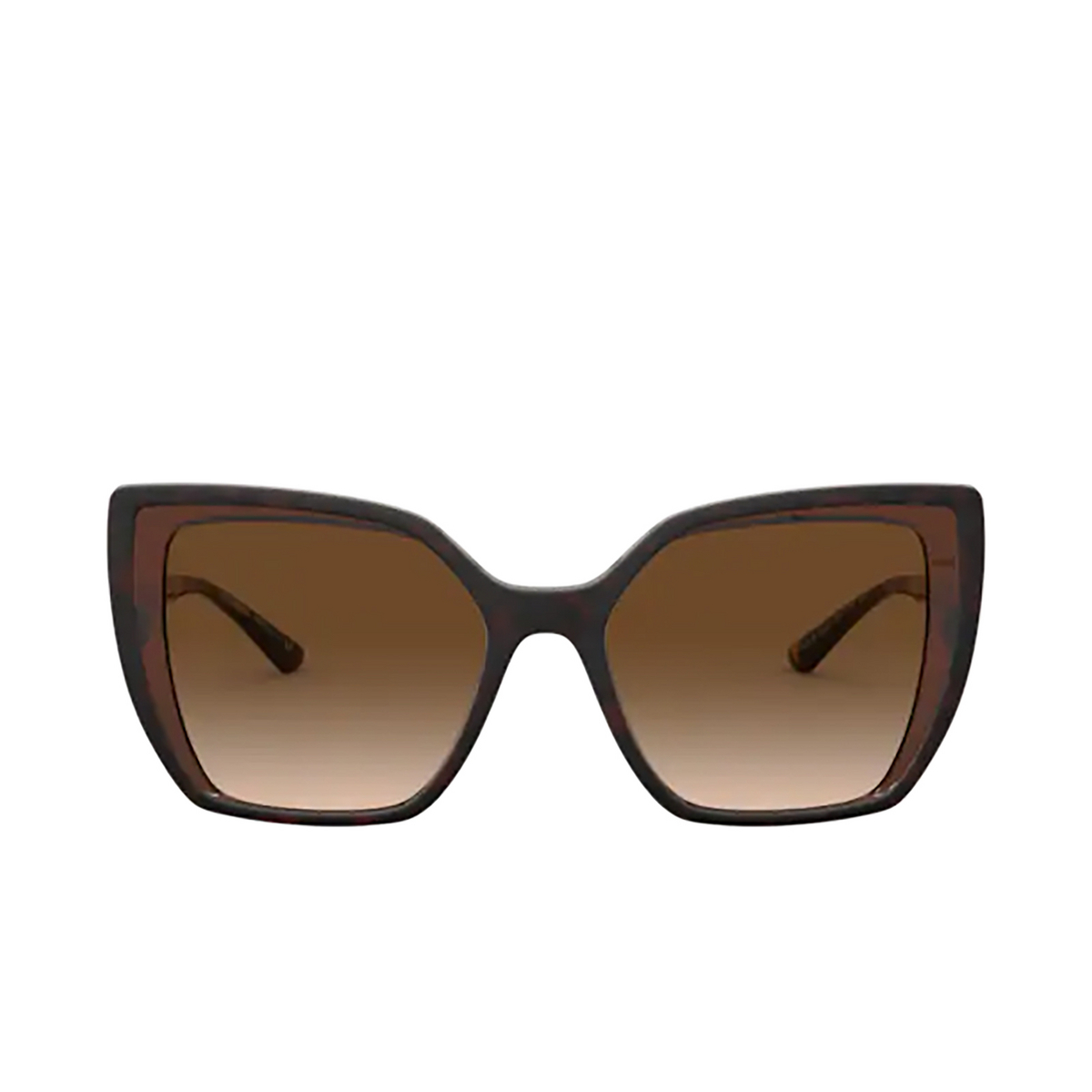 Dolce & Gabbana DG6138 Sunglasses 318513 Havana On Transparent Brown - front view