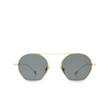 Eyepetizer BOTAFOCH Sunglasses C.4-40 gold - product thumbnail 1/4