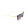 Gafas de sol Eyepetizer BRICKEL C.4-18F gold - Miniatura del producto 2/4