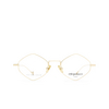 Eyepetizer FLORE VINTAGE Eyeglasses C.9 rose gold - product thumbnail 1/8
