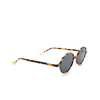 Eyepetizer PALLAVICINI Sunglasses C.F-40 havana - product thumbnail 2/4