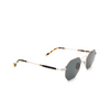 Eyepetizer POMPIDOU Sunglasses C.1-F-40 silver - product thumbnail 2/4