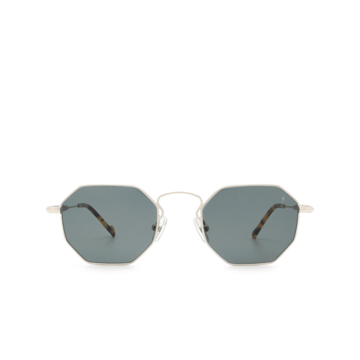 Eyepetizer POMPIDOU Sunglasses C.1-F-40 Silver - front view