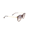 Eyepetizer SPRINGS Sunglasses C.G-4-18F havana - product thumbnail 2/4
