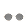Gafas de sol Eyepetizer TRIOMPHE C 1-7 silver - Miniatura del producto 1/5