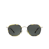 Eyepetizer TROIS Sunglasses C.1-O-F-40 havana - product thumbnail 1/4