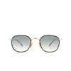 Eyepetizer TROIS Sunglasses C.4-M-I-25F havana - product thumbnail 1/4