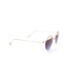 Gafas de sol Eyepetizer VENDOME C 2-7H gold - Miniatura del producto 2/4