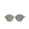 Eyepetizer VISCONTI Sunglasses C.F-40 havana - product thumbnail 1/4