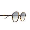 Eyepetizer VISCONTI Sunglasses C.I-25F dark havana  - product thumbnail 3/4