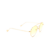Eyepetizer VOSGES Sunglasses C.4-14F gold - product thumbnail 2/4