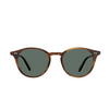 Garrett Leight CLUNE Sunglasses TD/SFPG15 true demi - product thumbnail 1/3