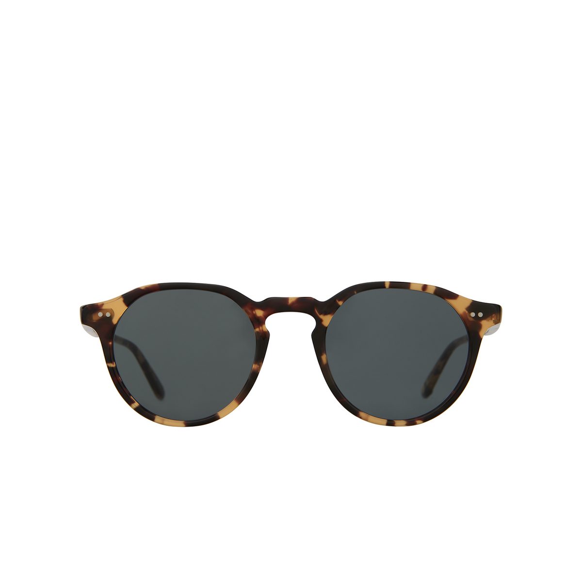 Garrett Leight® Round Sunglasses: Royce Sun color Dkt/sfbs Dark Tortoise - front view