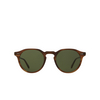 Garrett Leight ROYCE Sunglasses SDT/SFPGN saddle tortoise - product thumbnail 1/3
