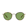 Gafas de sol Garrett Leight WILSON SUN TT-AH/PGN tokyo tortoise-amber - Miniatura del producto 1/3