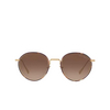 Giorgio Armani AR6103J Sunglasses 300213 matte pale gold - product thumbnail 1/4
