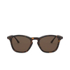 Giorgio Armani AR8128 Sunglasses 502673 havana - product thumbnail 1/4