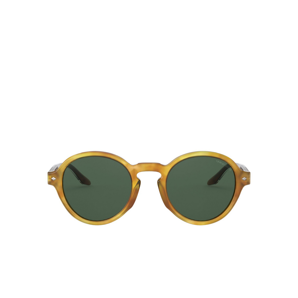 Giorgio Armani AR8130 Sunglasses 576171 Yellow Havana - front view
