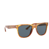 Giorgio Armani AR8133 Sunglasses 584980 thatch havana - product thumbnail 2/4