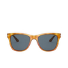 Giorgio Armani AR8133 Sunglasses 584980 thatch havana - product thumbnail 1/4