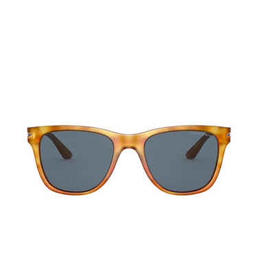 Giorgio Armani AR8133 Sunglasses 584980 thatch havana - front view