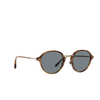 Giorgio Armani AR8139 Sunglasses 5762R5 brown tortoise - product thumbnail 2/4