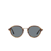 Giorgio Armani AR8139 Sunglasses 5762R5 brown tortoise - product thumbnail 1/4