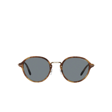 Occhiali da sole Giorgio Armani AR8139 5762R5 brown tortoise - frontale