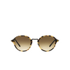 Giorgio Armani AR8139 Sunglasses 583951 havana - product thumbnail 1/4