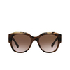 Lunettes de soleil Giorgio Armani AR8140 586713 brown tortoise - Vignette du produit 1/4