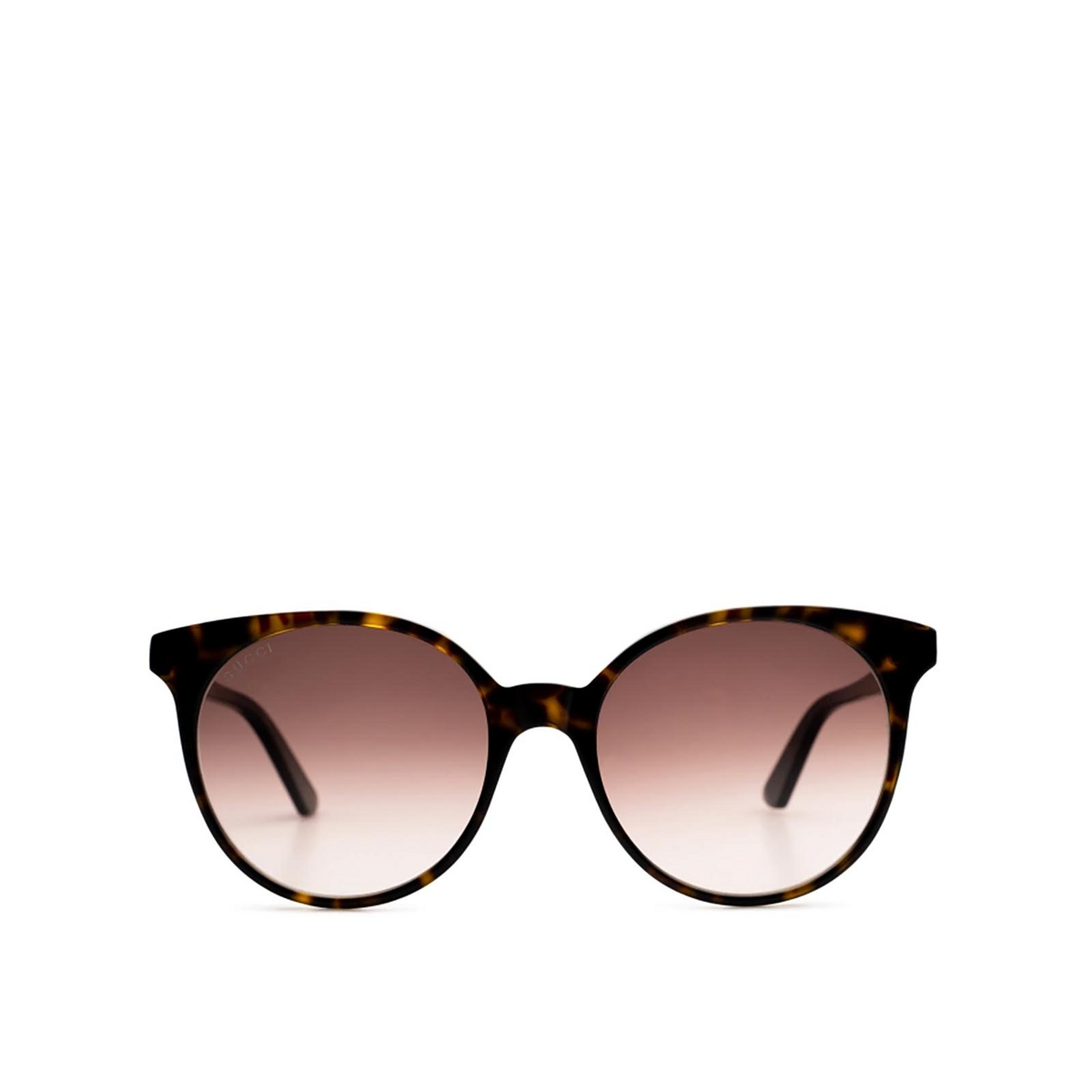 Gucci GG0488S Sunglasses 002 Dark Havana - front view