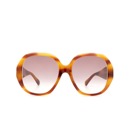 Gucci® Round Sunglasses: GG0796S color 004 Havana 