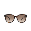 Gucci GG0854SK Sunglasses 003 havana - product thumbnail 1/5
