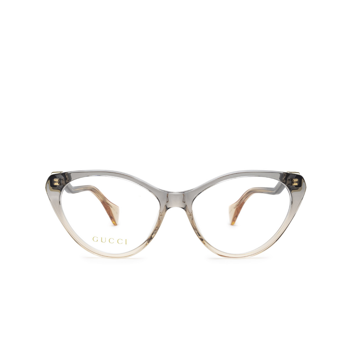 Gucci GG1013O Eyeglasses 002 Blue & Pink - front view