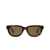 Huma LION Sunglasses 00 havana - product thumbnail 1/4