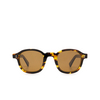 Lesca BRUT PANTO 8MM Sunglasses 15 havana - product thumbnail 1/4