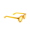 Gafas de sol Lesca CROWN PANTO 8MM 1 honey - Miniatura del producto 2/4