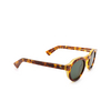 Lesca CROWN PANTO 8MM Sunglasses 10 havana - product thumbnail 2/4