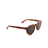 Lesca PICA Sunglasses 036 havana - product thumbnail 2/4