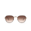 Moscot KIBITS Sonnenbrillen ANTIQUE GOLD TORTOISE - Produkt-Miniaturansicht 1/3