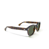 Lunettes de vue Moscot LEMTOSH TORTOISE - Vignette du produit 2/3