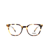 Moscot LOREN Eyeglasses HAVANA - product thumbnail 1/3