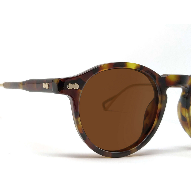 Moscot MILTZEN-TT SE Sonnenbrillen TORTOISE / GOLD - 3/3