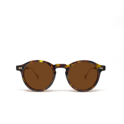 Moscot MILTZEN-TT SE Sonnenbrillen TORTOISE / GOLD