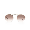 Moscot PUNIM Sonnenbrillen GOLD/SPOT TORTOISE - Produkt-Miniaturansicht 1/3