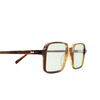 Moscot SHINDIG SUN Sunglasses TOBACCO - product thumbnail 3/3