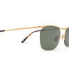 Moscot SIMCHA Sonnenbrillen GOLD - Produkt-Miniaturansicht 3/3