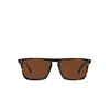 Oliver Peoples BERNARDO Sunglasses 1003N9 cocobolo - product thumbnail 1/4