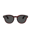 Oliver Peoples CARY GRANT Sunglasses 1675R5 bordeaux bark - product thumbnail 1/4