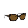 Oliver Peoples EDINA Sunglasses 100983 362 / horn - product thumbnail 2/4